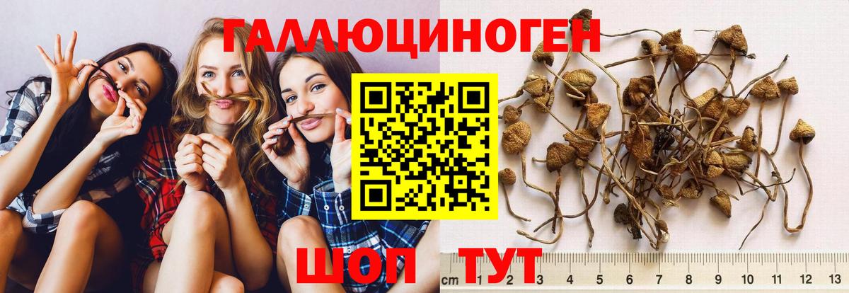 Псилоцибиновые грибы MAGIC MUSHROOMS Мыски